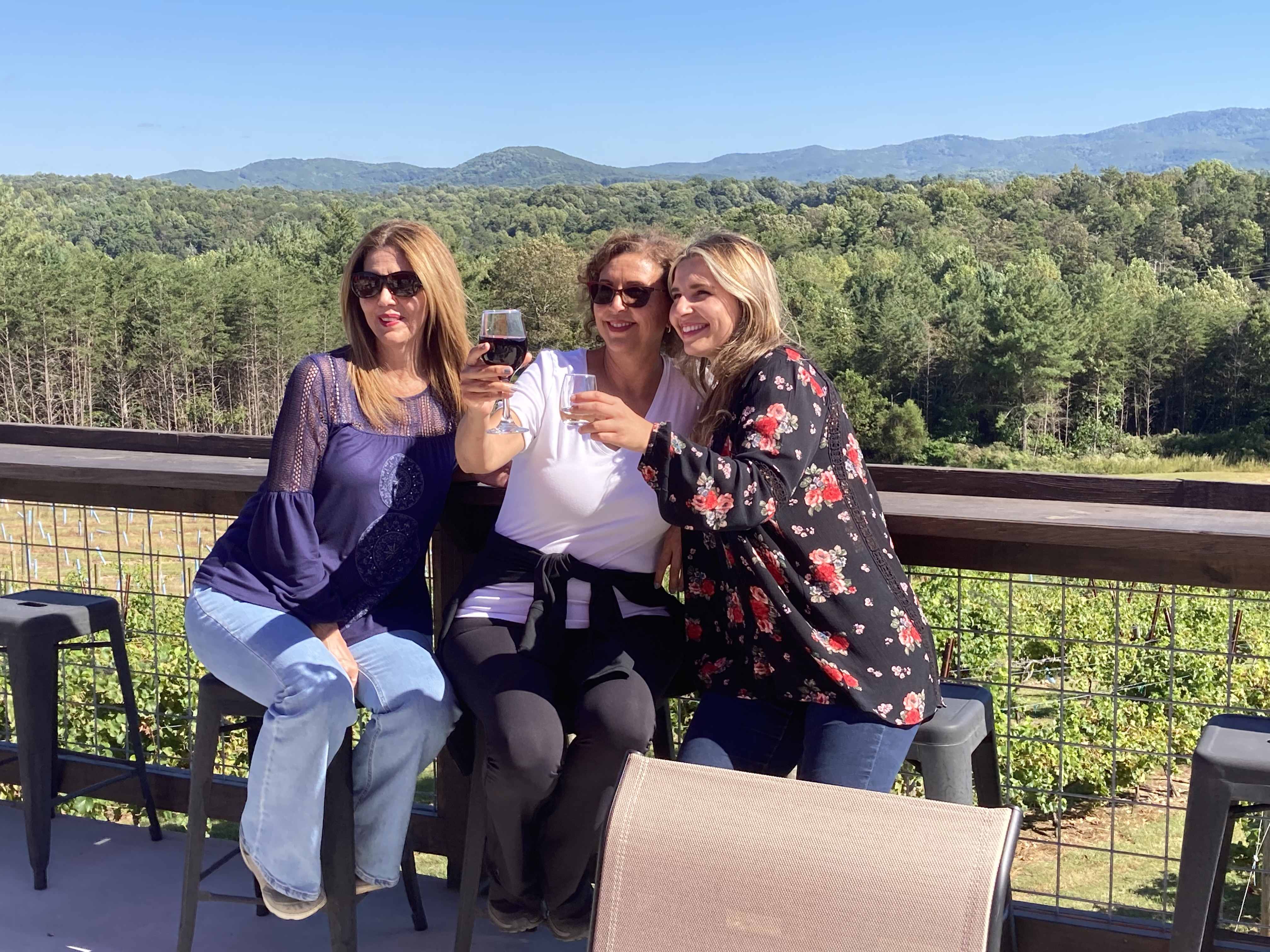 Wine Tour Atlanta - How to plan your day